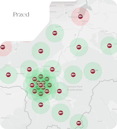 Widoczność wizytówki Hotel Sól Kiczora przed działaniami SEO