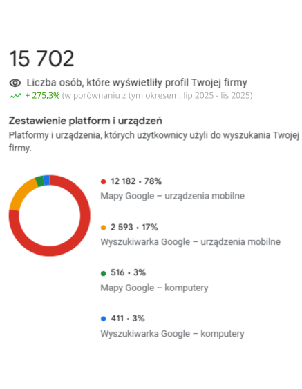 Statystyki wyświetleń profilu Google